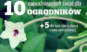 Kiedy jest dzień ogrodnika? Odkryj jego znaczenie i tradycje
