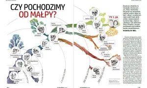 Skąd pochodzi? Odkryj fascynujące tajemnice pochodzenia ludzi i kultur