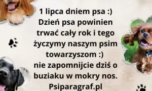 Kiedy jest dzień psa? Sprawdź daty i znaczenie tego wyjątkowego dnia