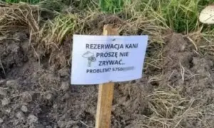 Najlepsze memy o kani, które rozbawią cię do łez