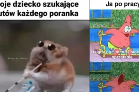 Śmieszny mem: Zbiór najlepszych i najzabawniejszych memów w sieci