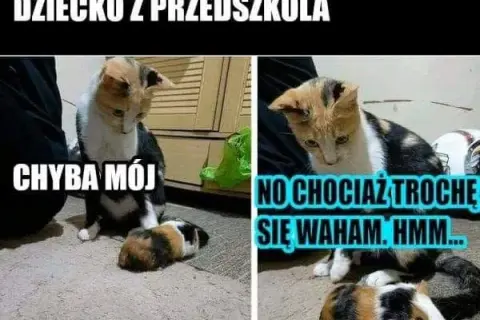 Śmieszne memy o ojcu odbierającym dziecko z przedszkola, które rozbawią każdego