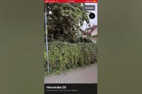 Gdzie mieszka Palion? Odkryj tajemnice życia w Siemianowicach