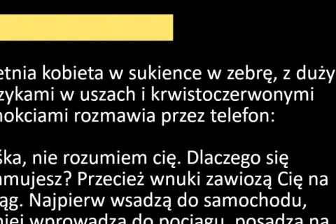 Tak trzeba żyć mem – poznaj jego humor i kontekst w sieci