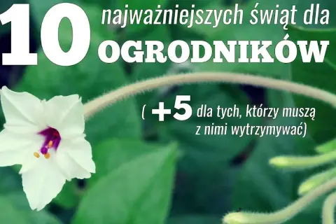 Kiedy jest dzień ogrodnika? Odkryj jego znaczenie i tradycje