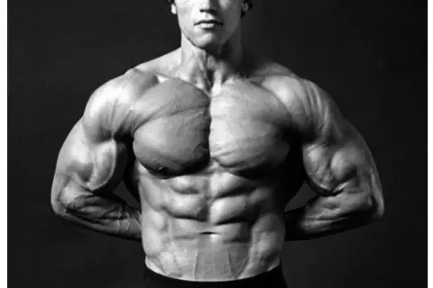 Gdzie urodził się Arnold Schwarzenegger? Poznaj jego korzenie