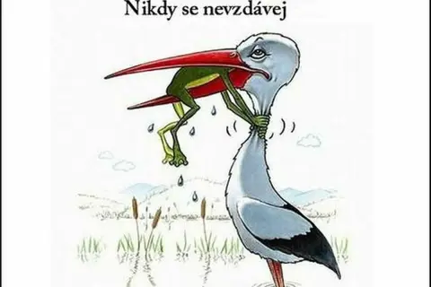 Memy nigdy się nie poddawaj – inspiracja i motywacja w obrazkach